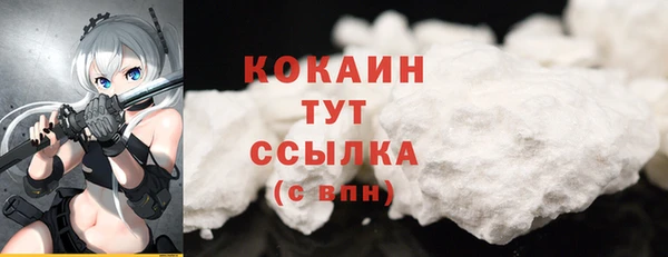 тгк Арсеньев