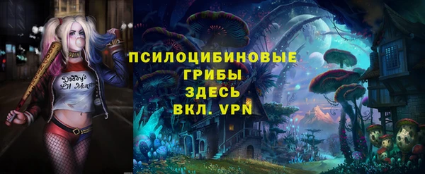 тгк Арсеньев