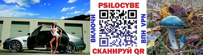 нарко площадка какой сайт  Североморск  Псилоцибиновые грибы MAGIC MUSHROOMS 